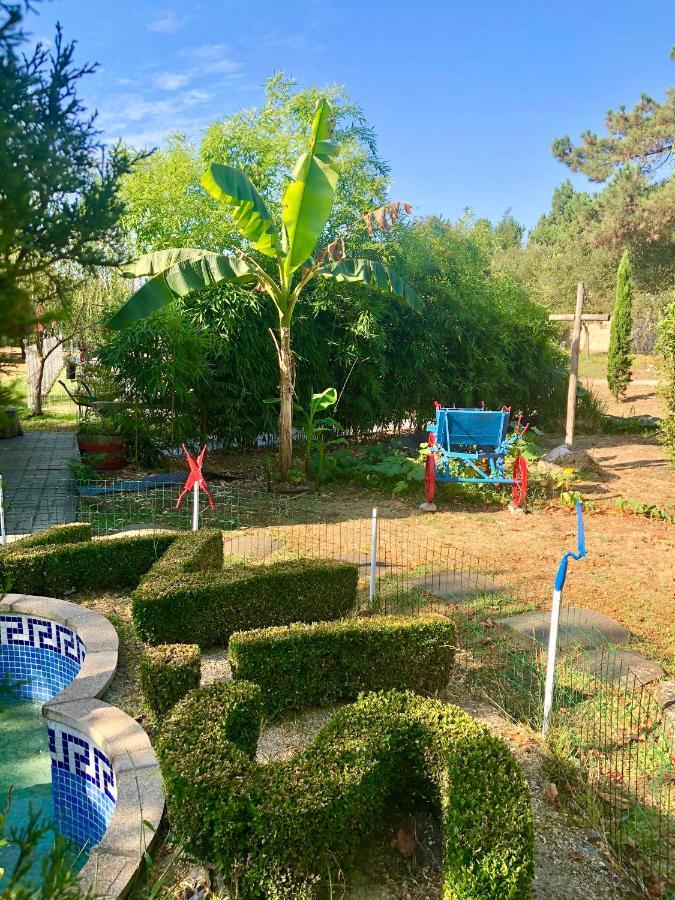 Casa Da Quinta Da Prelada Simao Villa Celorico De Basto Dış mekan fotoğraf