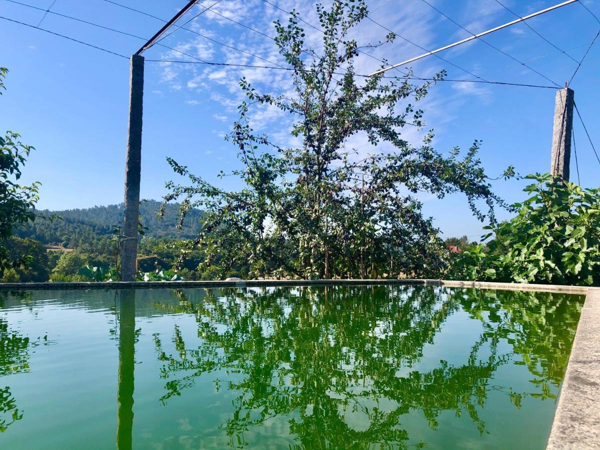 Casa Da Quinta Da Prelada Simao Villa Celorico De Basto Dış mekan fotoğraf