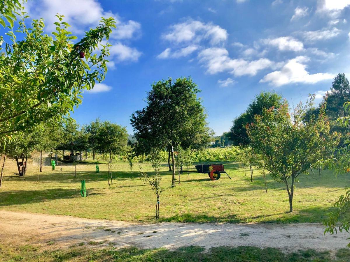 Casa Da Quinta Da Prelada Simao Villa Celorico De Basto Dış mekan fotoğraf