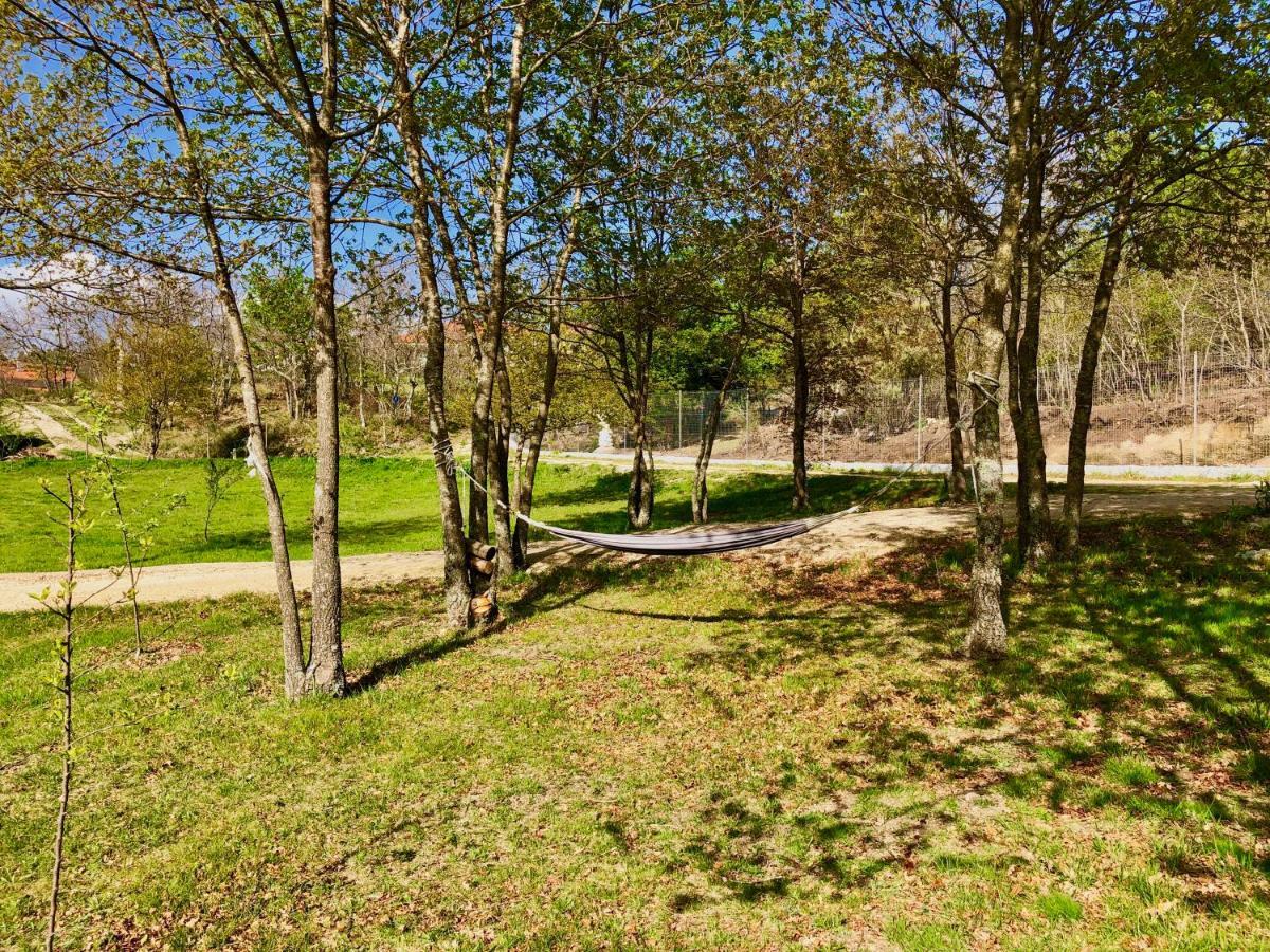 Casa Da Quinta Da Prelada Simao Villa Celorico De Basto Dış mekan fotoğraf