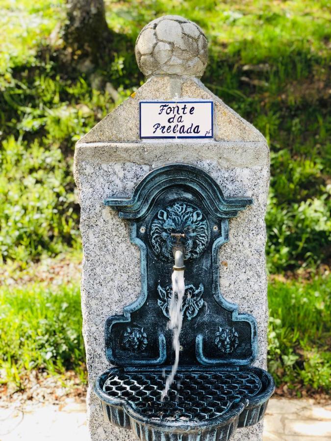 Casa Da Quinta Da Prelada Simao Villa Celorico De Basto Dış mekan fotoğraf