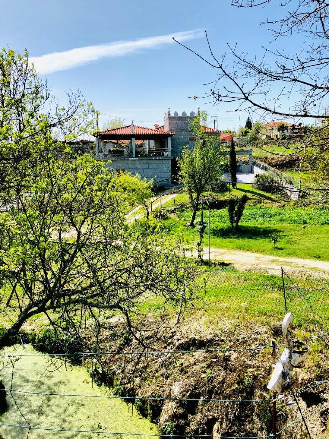 Casa Da Quinta Da Prelada Simao Villa Celorico De Basto Dış mekan fotoğraf