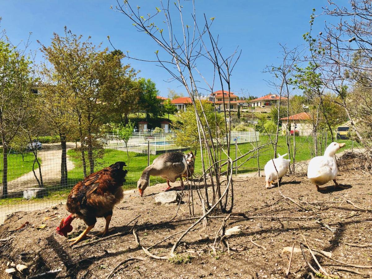 Casa Da Quinta Da Prelada Simao Villa Celorico De Basto Dış mekan fotoğraf